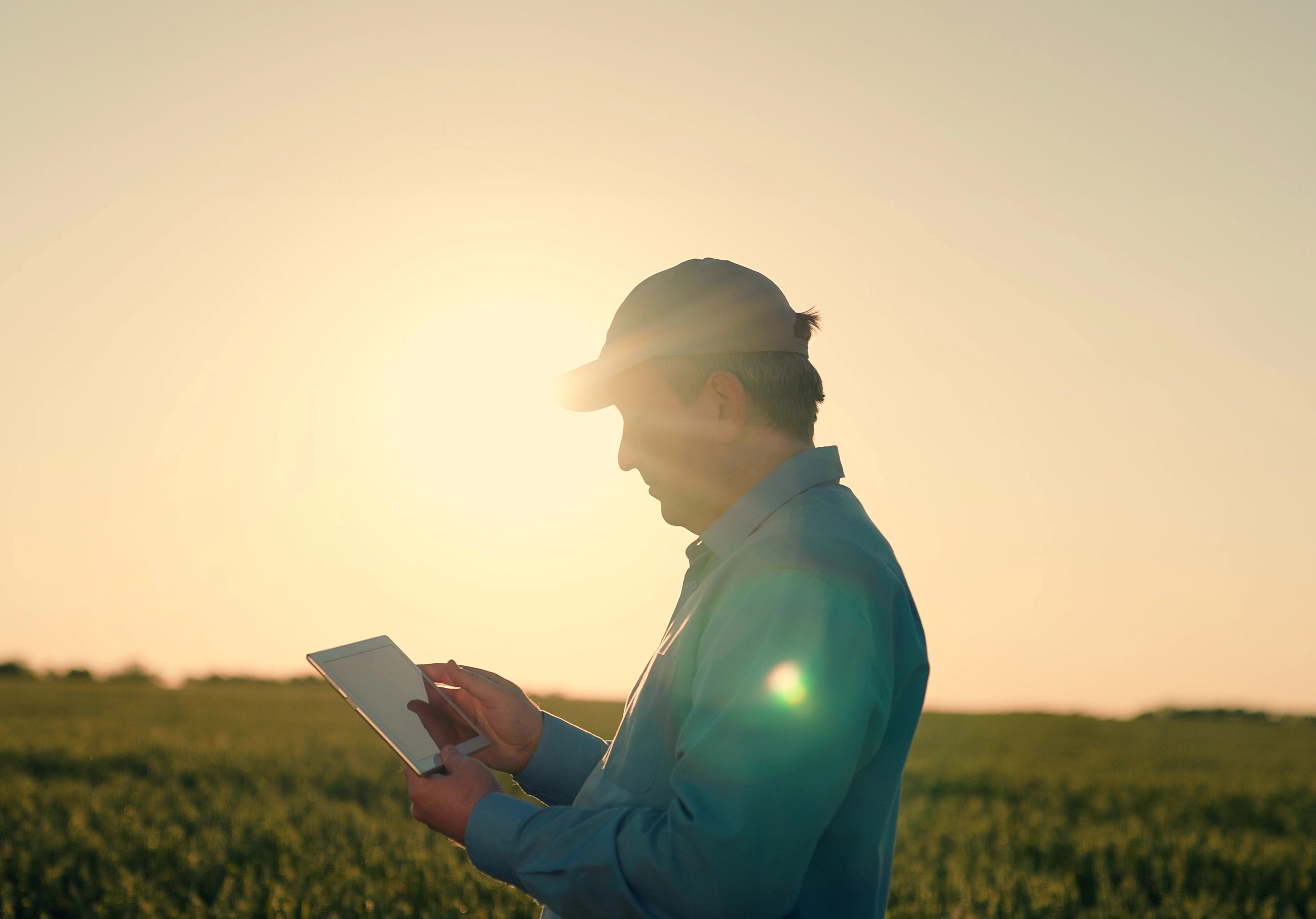 Man holding iPad in agriculture field with sun shining Man holding iPad in agriculture field with sun shining