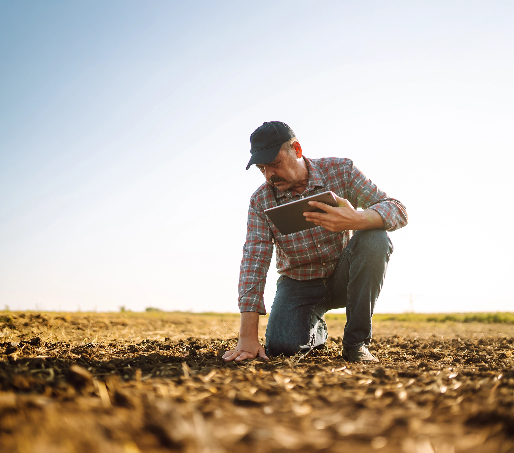 Man in checked shirt and cap holding iPad in crop field inspecting ground Man in checked shirt and cap holding iPad in crop field inspecting ground